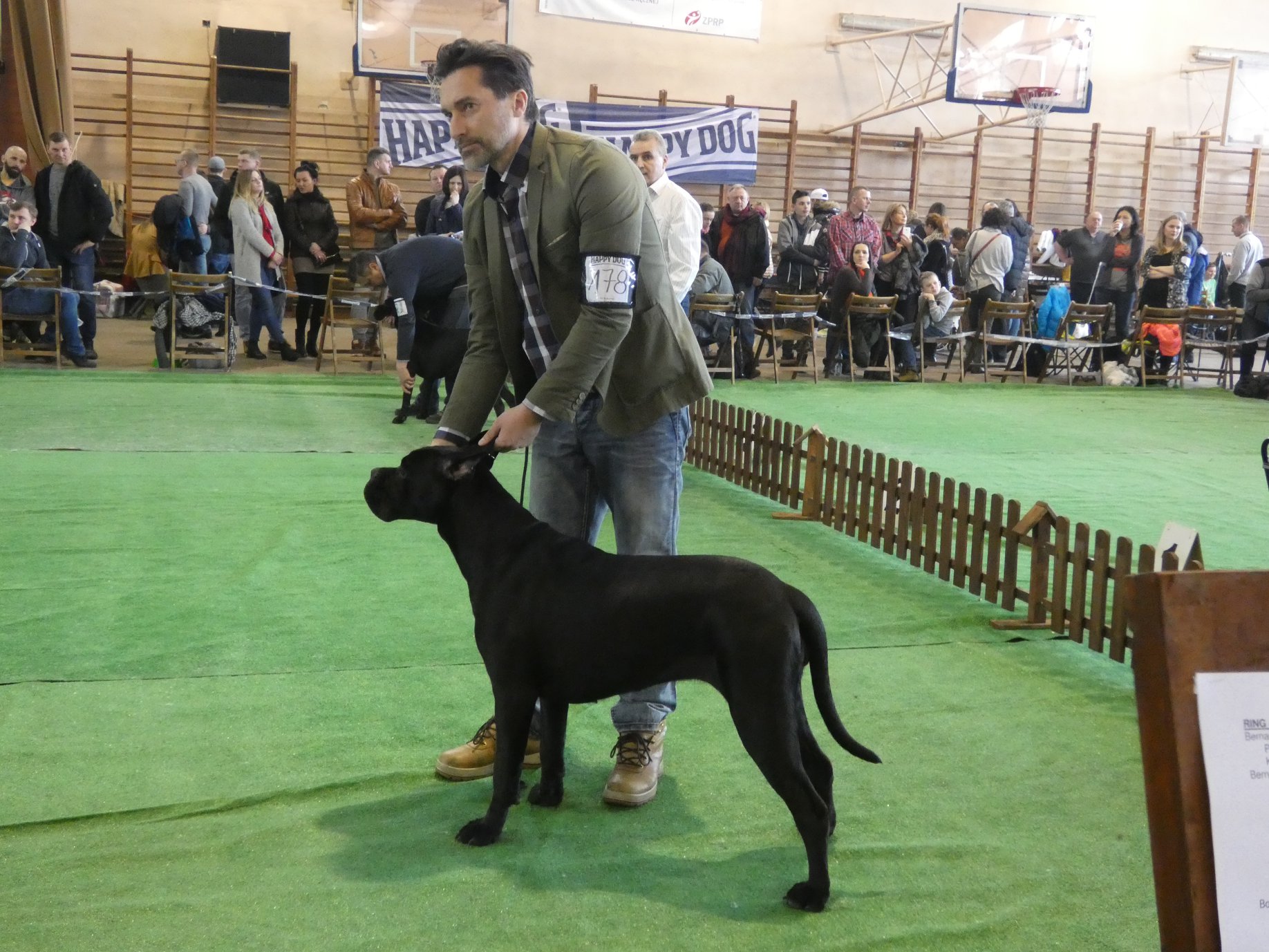 You are currently viewing Cane Corso CAC Jarosław