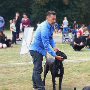 Read more about the article Cane Corso CAC Chorzów