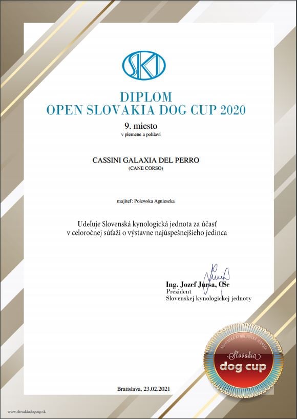 Dyplom DOG CUP 2020 Slovakia